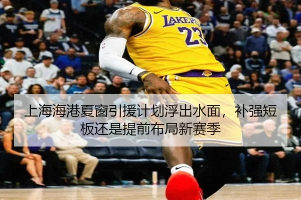 上海海港夏窗引援计划浮出水面，补强短板还是提前布局新赛季 | NetEaseSports